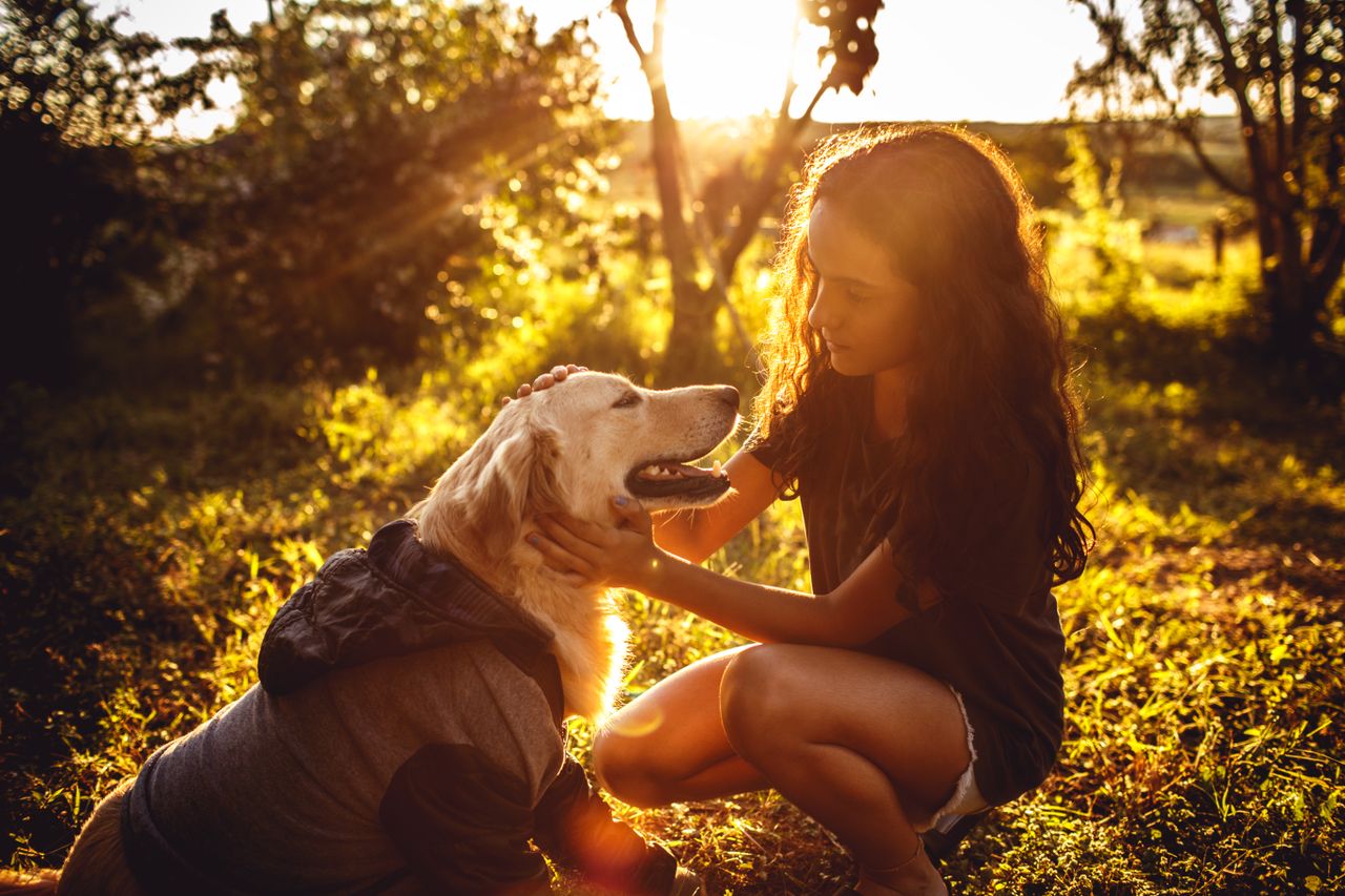 A young girl pets a golden retriever in a sunlit field, capturing a warm and candid moment.